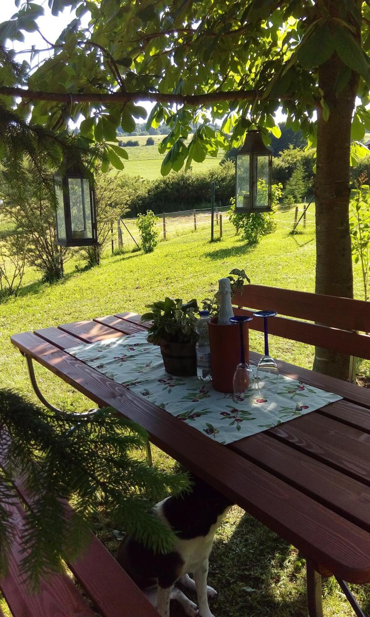 Ferienwohnung Am Hochrhoener Andenhausen Exteriör bild